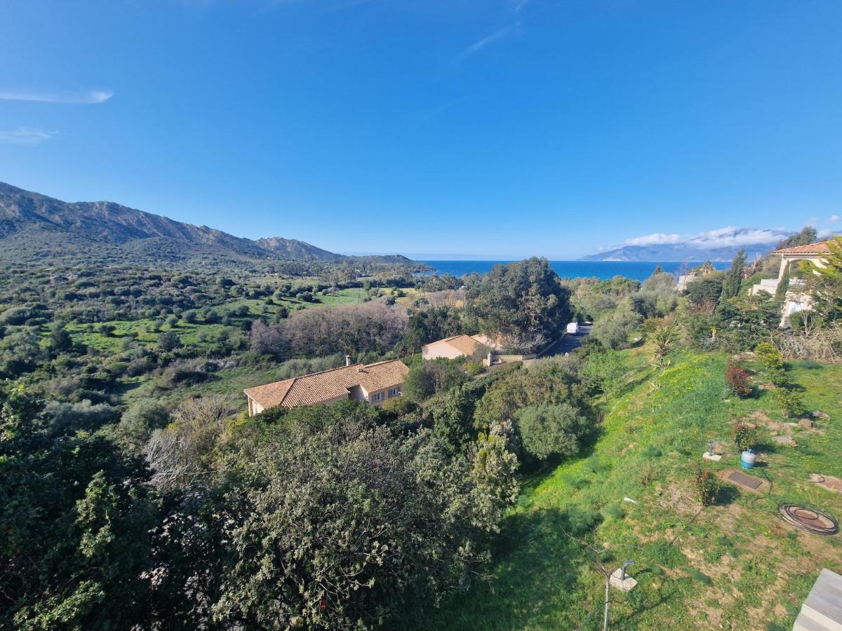Appartement Vue Mer Fromontica Saint-Florent  Extérieur photo